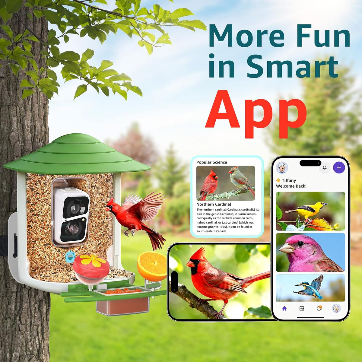 birdsnap® tuc bird feeder with camera solar powered showing dimensions