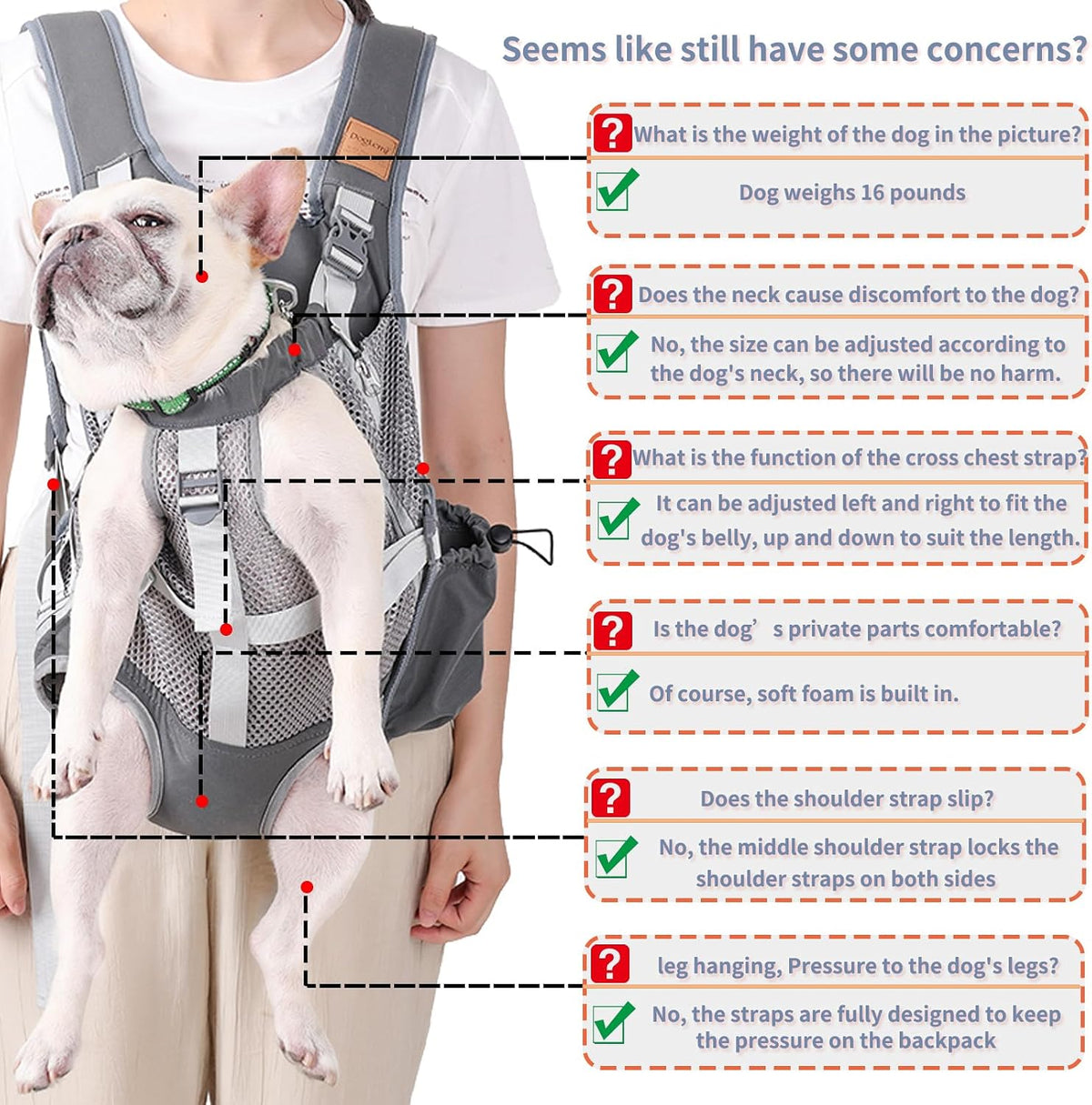dog carrier backpack - legs out front facing, side view