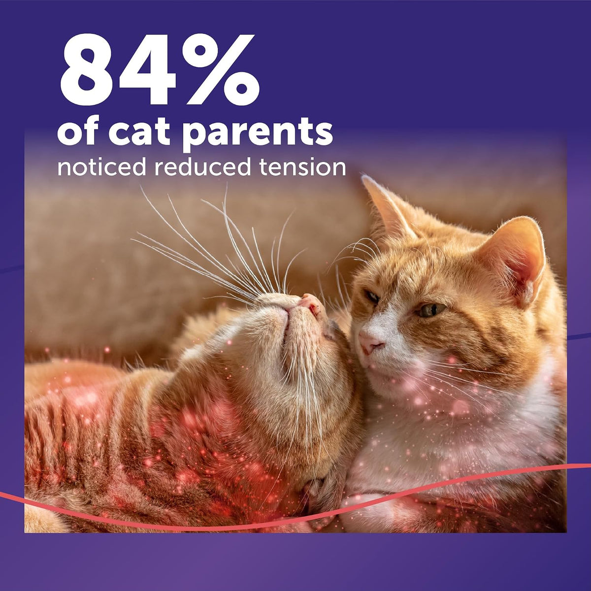 feliway multicat cat calming diffuser kit and 6, close-up detail