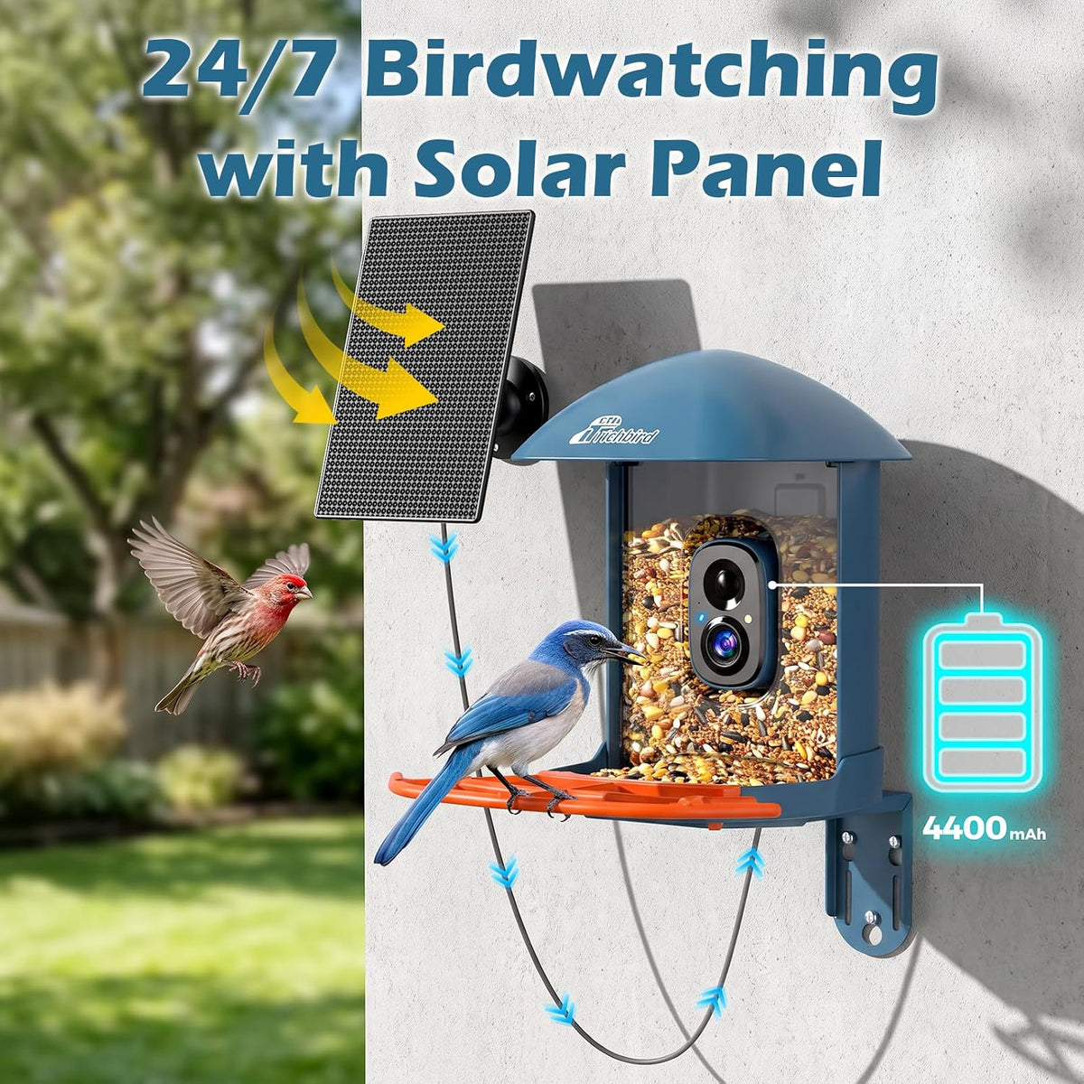 smart bird feeder with camera & solar panel, side view