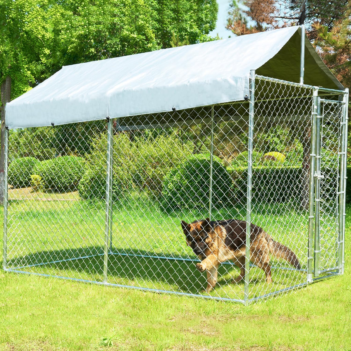 10x6x7.7ft large dog kennel outdoor, heavy-duty outside dog, main product view