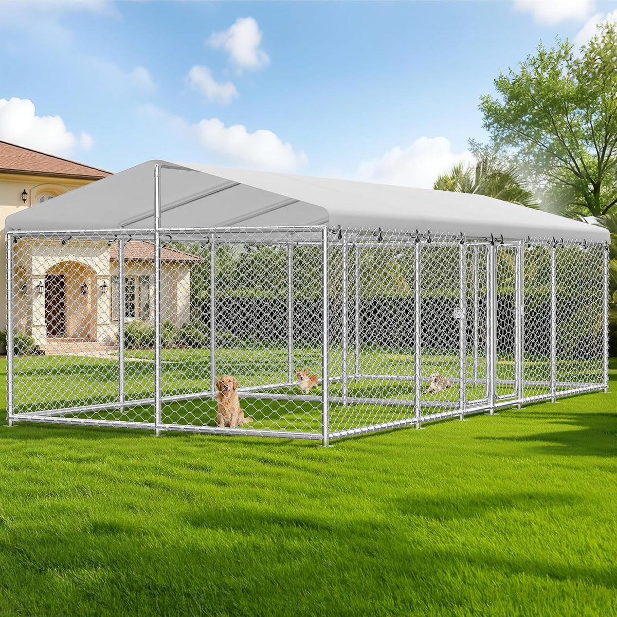 20×10×7.2 ft large outdoor dual‑run dog kennel, heavy‑duty, main product view