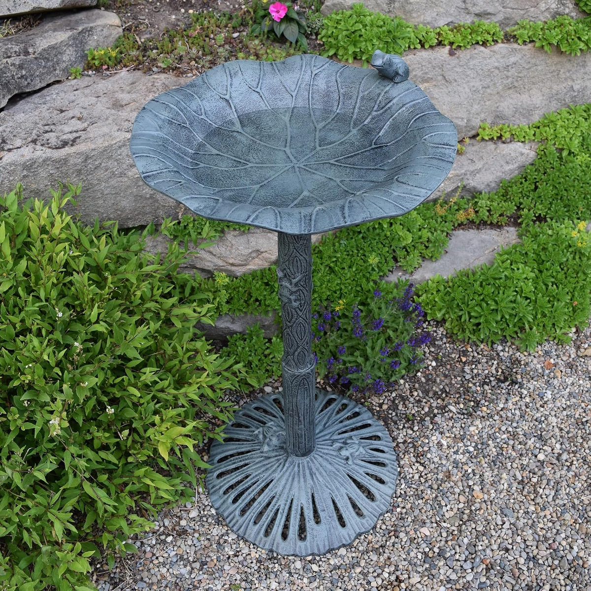 oakland living frog bird bath, verdi grey shown in use