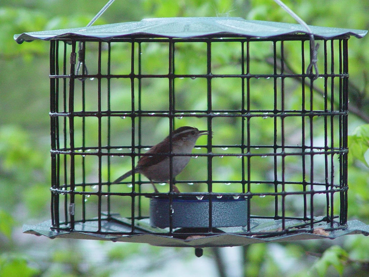 erva starling-proof barrier guard bluebird feeder with glass, side view