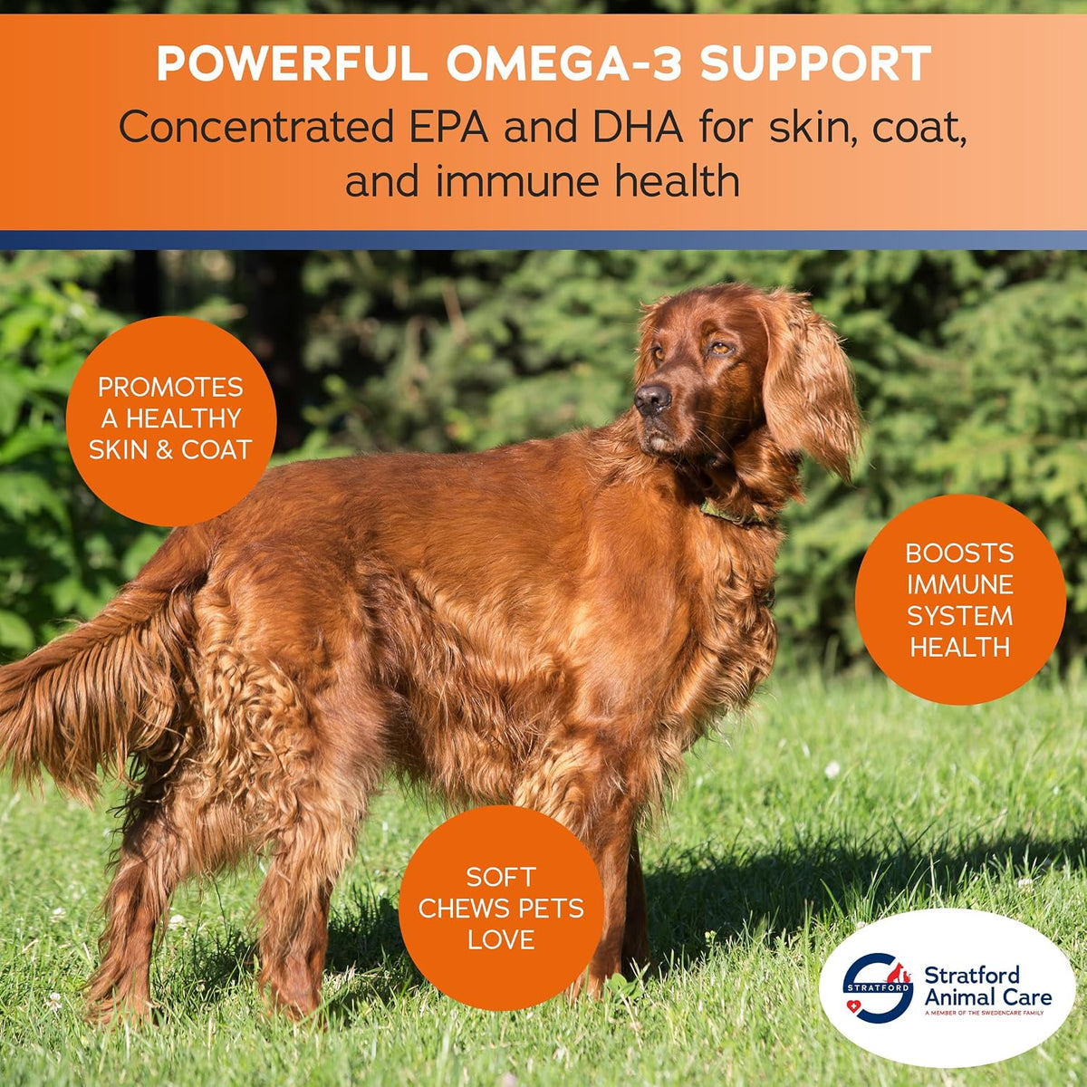 ez chew omega 3 fatty acids for dogs, side view