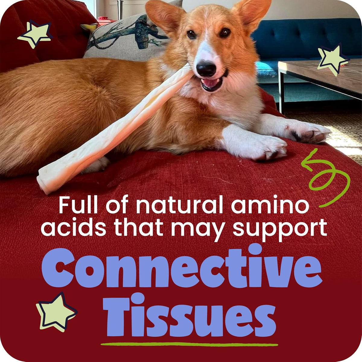 pawstruck 12 inch beef collagen sticks chews for showing dimensions