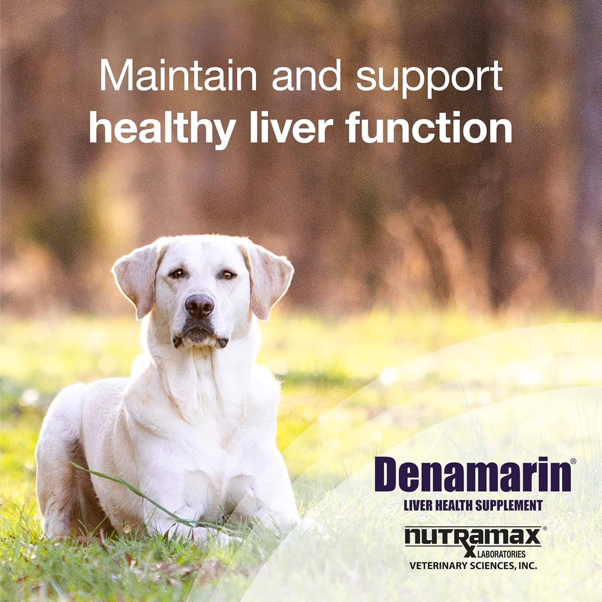 nutramax denamarin for dogs, liver health supplement with, close-up detail