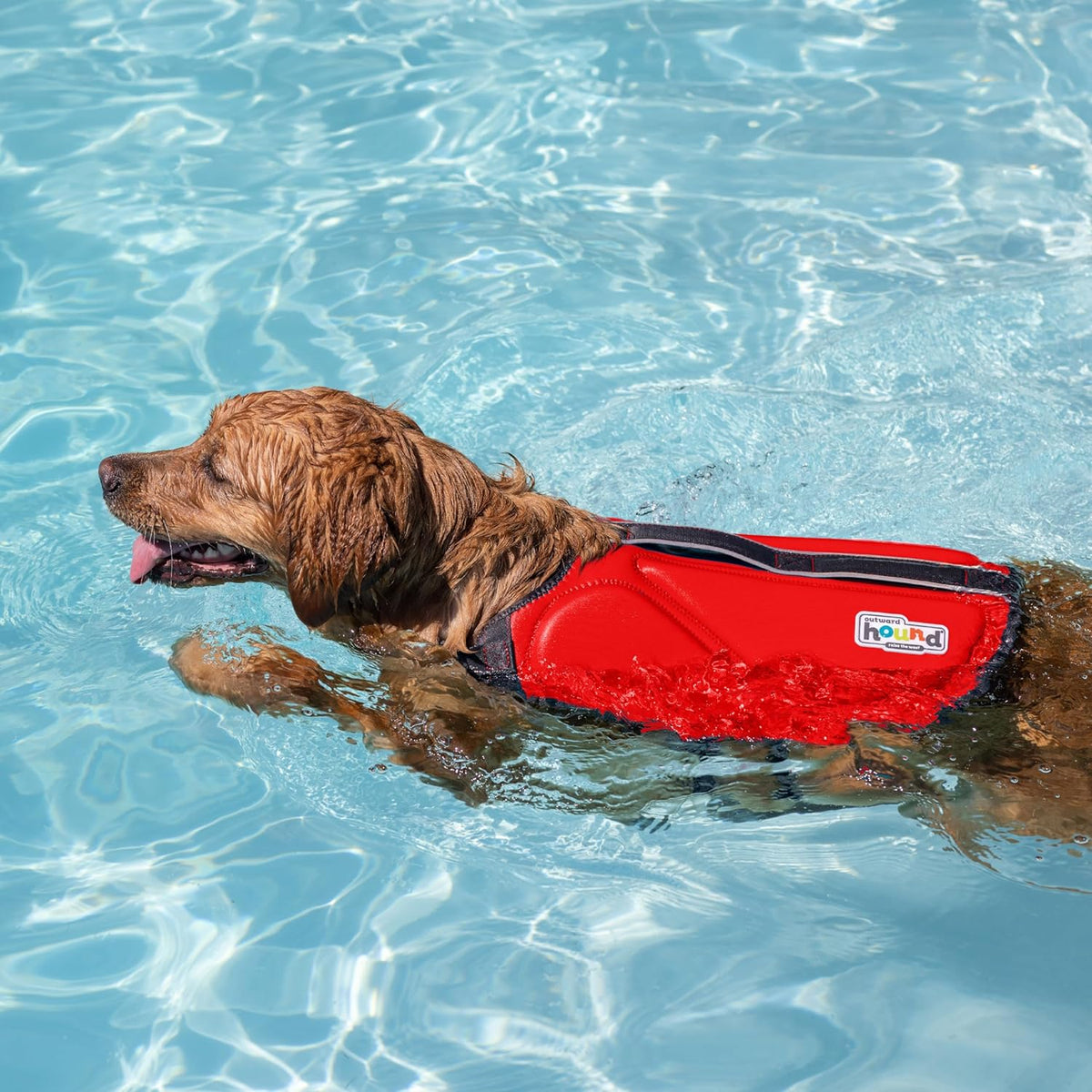 outward hound dawson swim dog life jacket, life, package contents