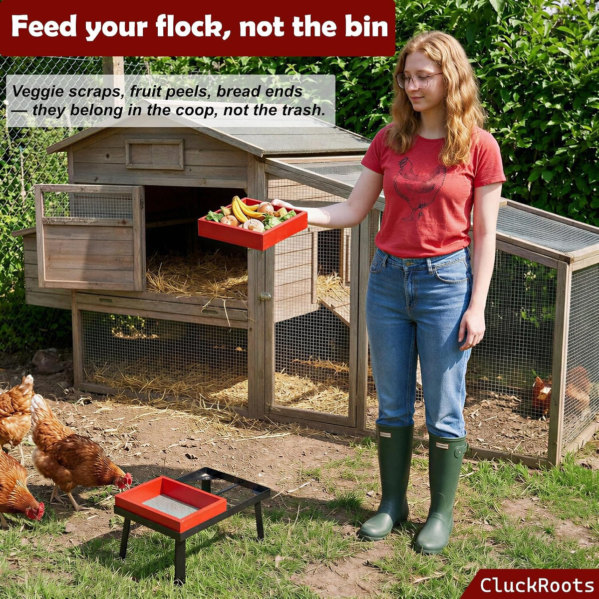 kitchen scrap feeder for chickens, metal stand w shown in use