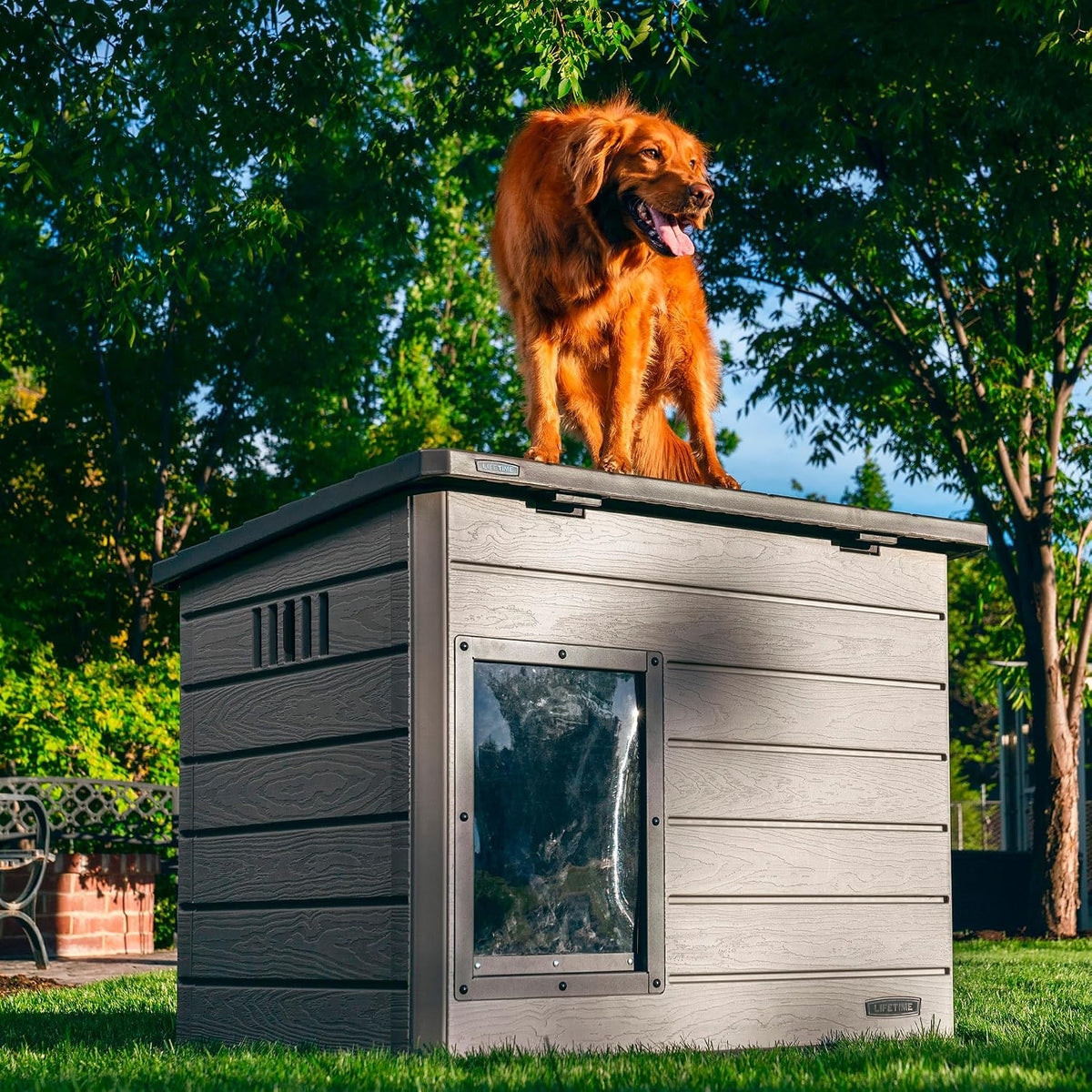 lifetime deluxe dog house, weather protected with adjustable, package contents