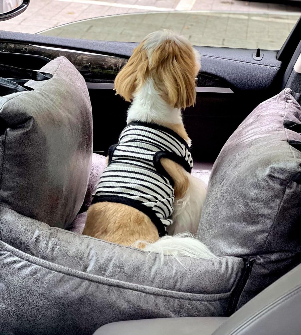 alansma portable car dog crate detachable seat belt showing dimensions