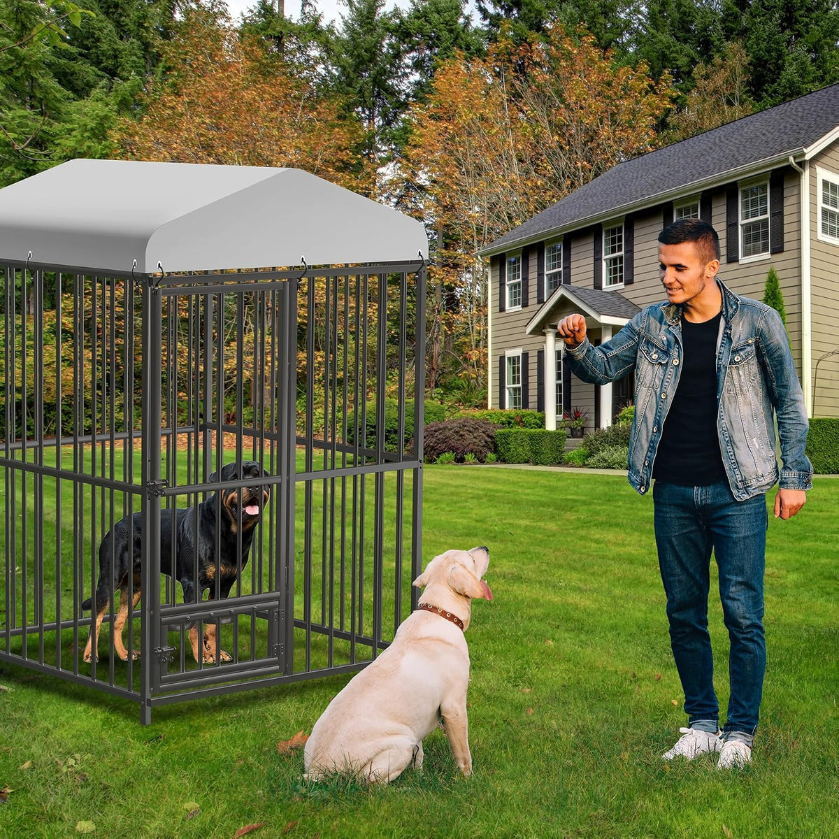 4x4x6ft large outdoor dog kennel, metal dog cage, package contents