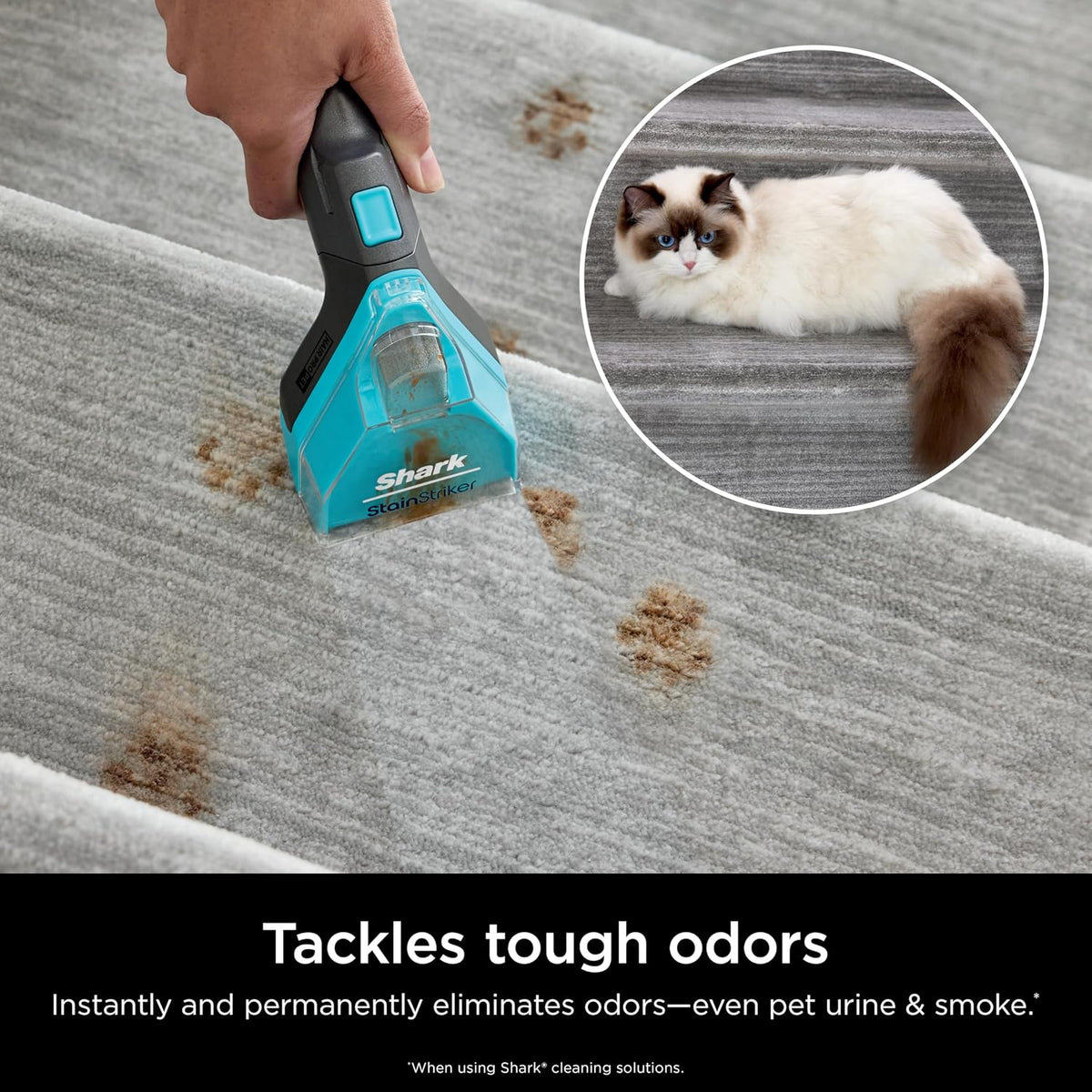 shark stainstriker pet bundle for all stainstriker portable showing dimensions