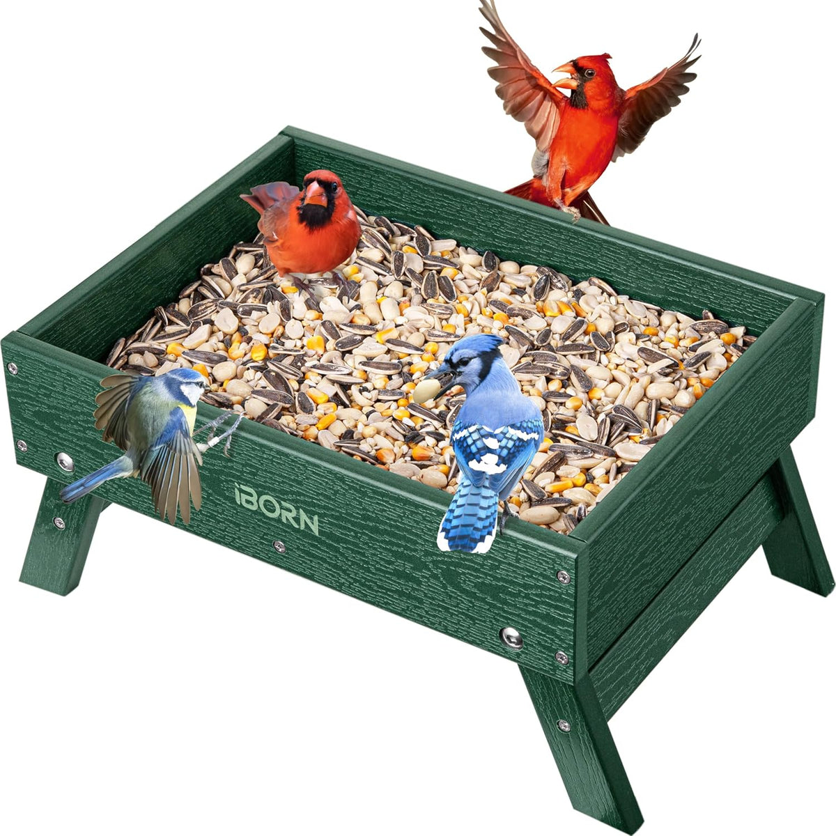 iborn ground bird feeder, bird & squirrel platform, main product view