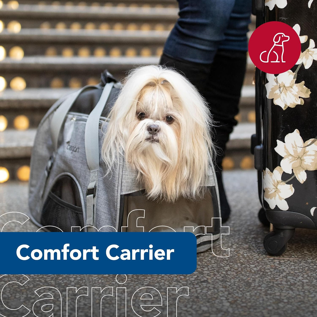 coastal pet - bergan - comfort carrier shown in use