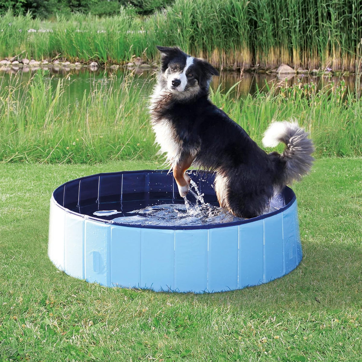 trixie 47-in outdoor splash pool for medium shown in use