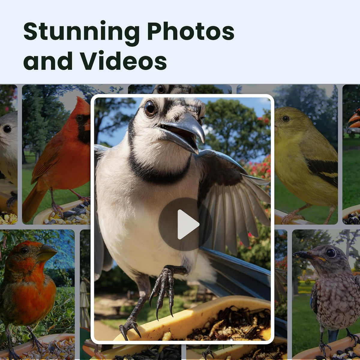 birdfy smart bird feeder with camera for beginners, side view