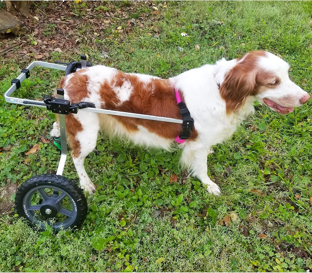 dog wheelchair back legs, adjustable, custom made in shown in use