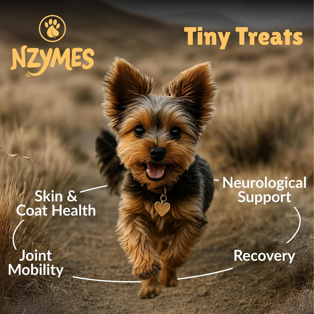 nzymes antioxidant tiny treats for small dogs, hip shown in use