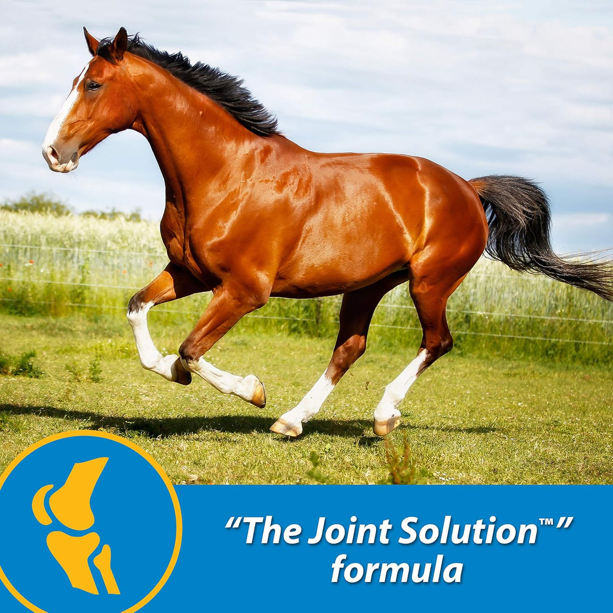 farnam fluidflex liquid joint supplement for horses, glucosamine shown in use