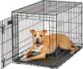 lifestages by midwest 36-inch single door crate, m-l, main product view