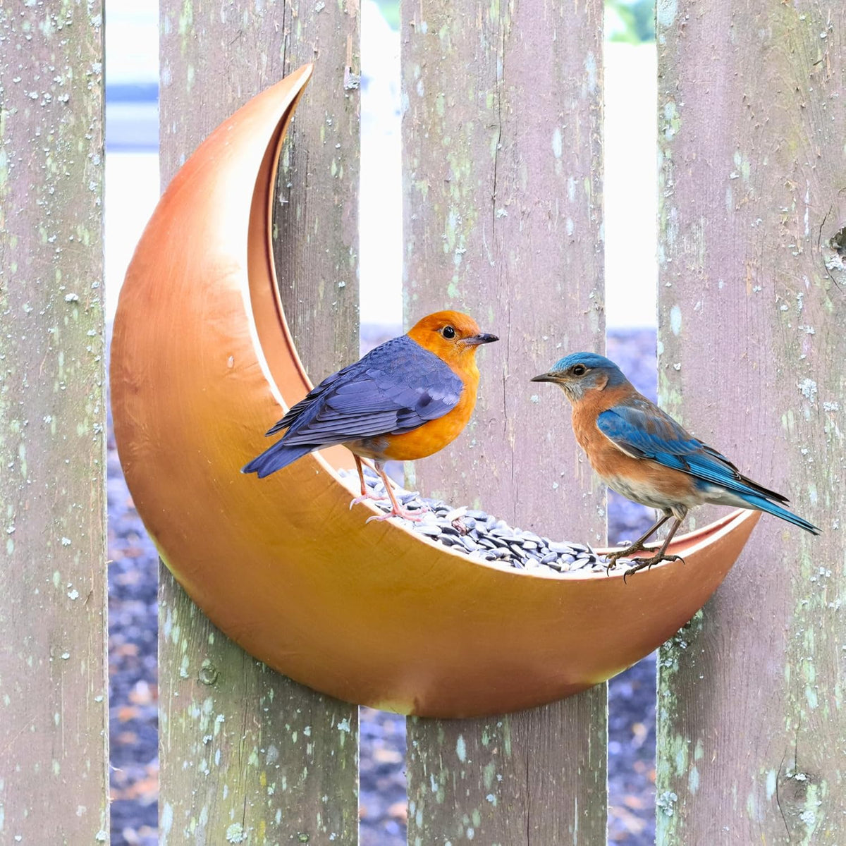 fence & tree mounted moon bird feeder –, main product view