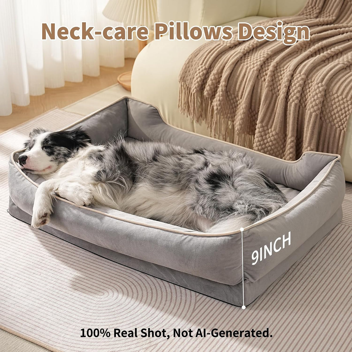 fairypet orthopedic dog bed for medium to large showing dimensions