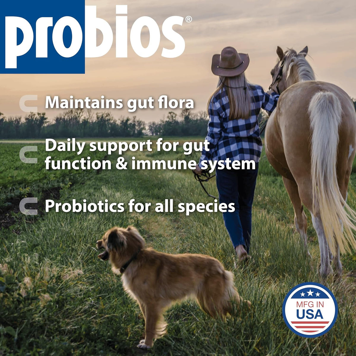 probios digestive support powder for pets, 5 lb shown in use