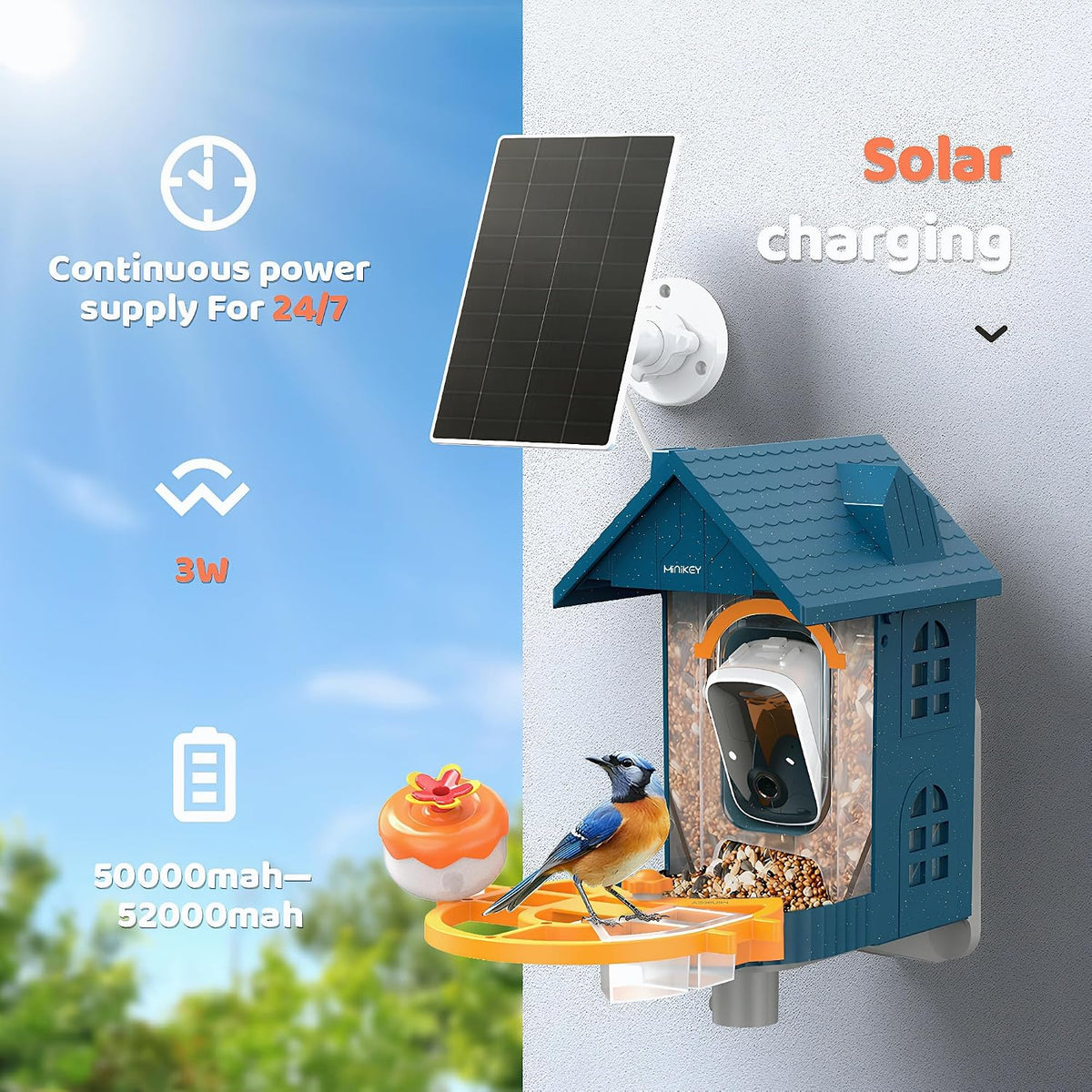 smart bird feeder camera solar powered,2k hd video showing dimensions