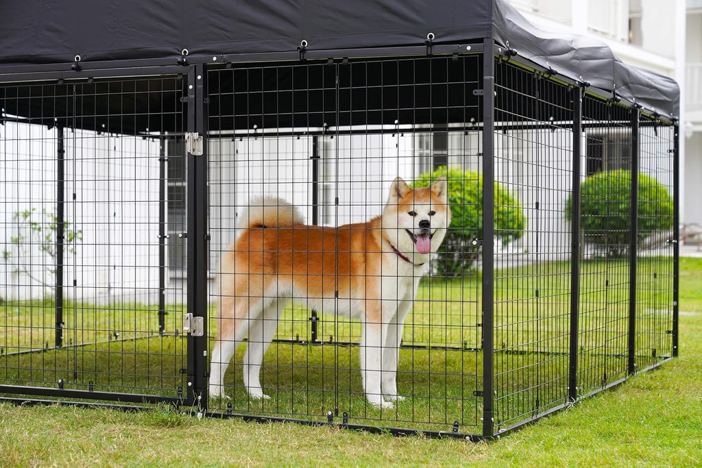 354" x 118" outdoor dog kennel steel ideal on a desk or shelf