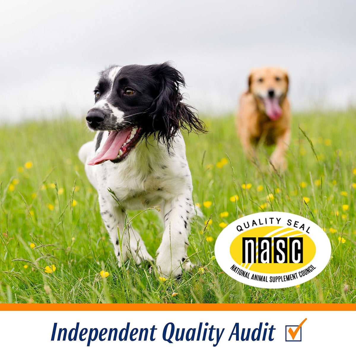 prosense advanced strength for dogs glucosamine chew tablets showing dimensions
