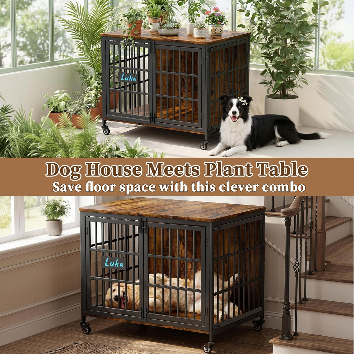 easycom 41in heavy duty dog crate with personalized on a desk or shelf