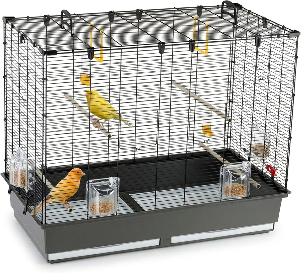 ferplast large cage for canaries, parakeet cage exotic, main product view
