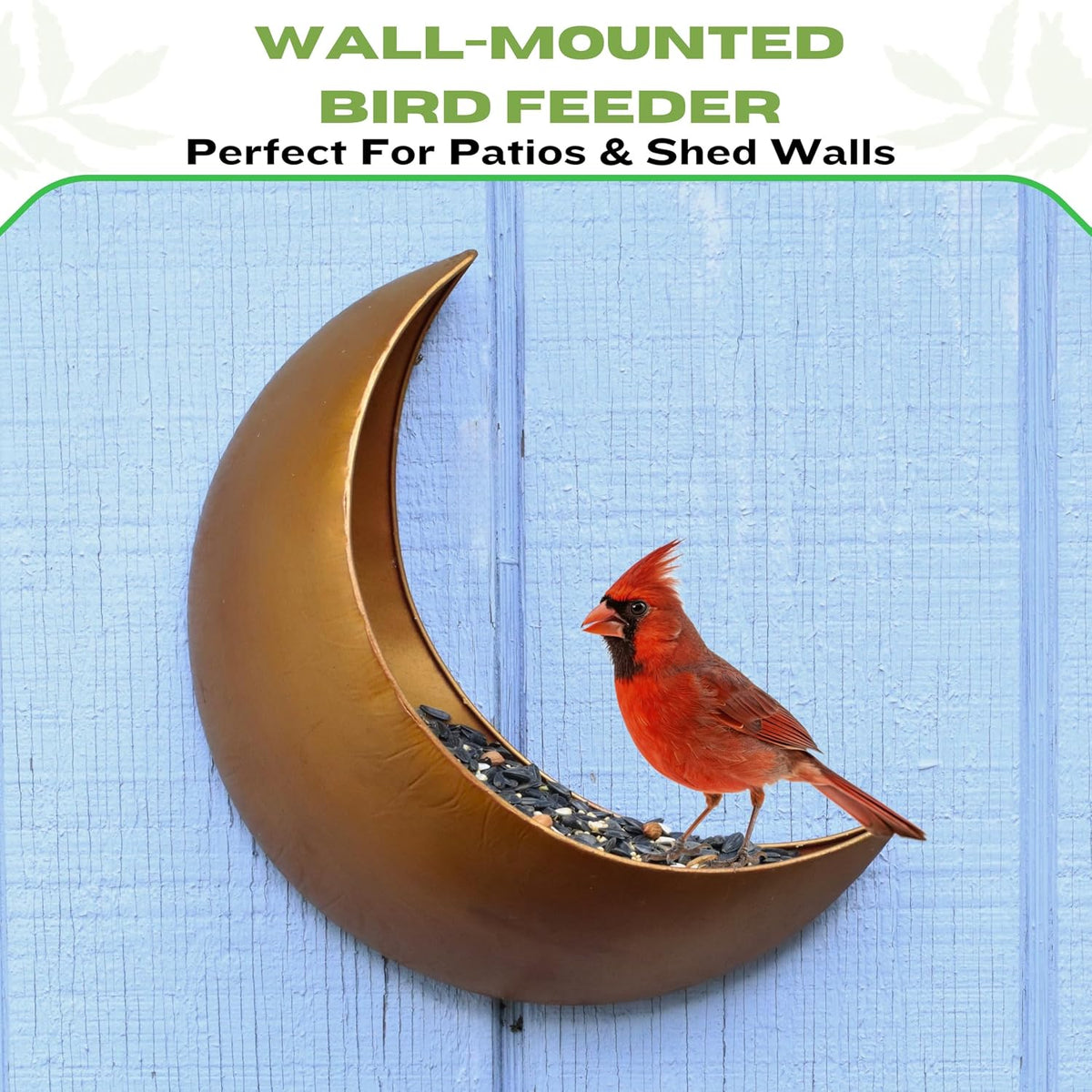 fence & tree mounted moon bird feeder –, close-up detail