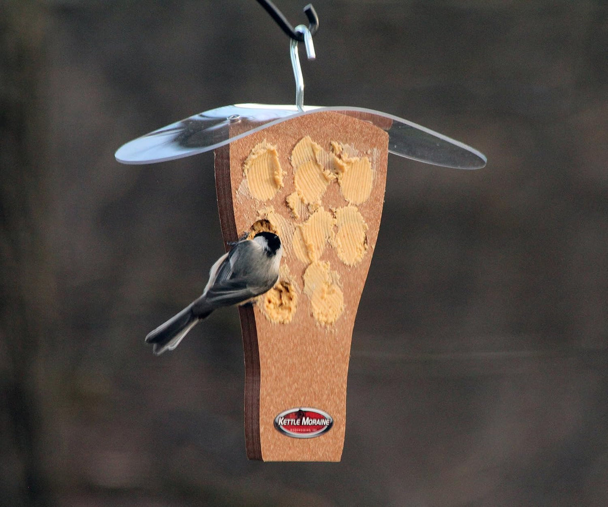 kettle moraine peanut butter feeder with clear roof, close-up detail