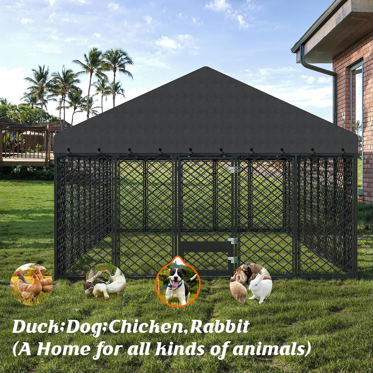 10x20ft outdoor dog kennel with roof and feeding, close-up detail