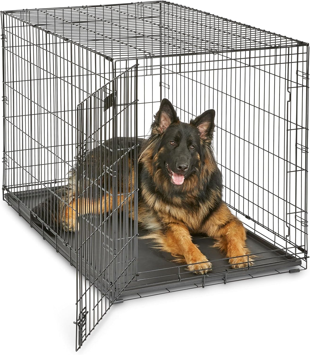 midwest 48-inch single door icrate, for extra-large breeds, main product view