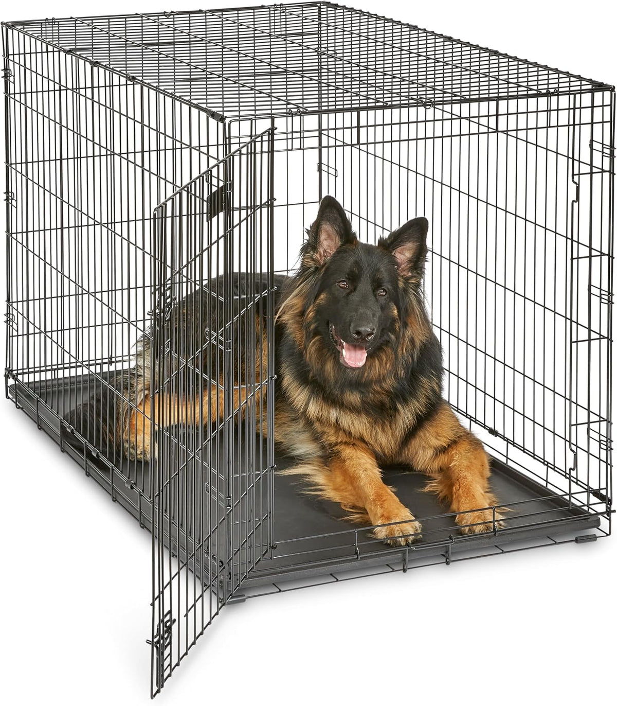 midwest 48-inch single door icrate, for extra-large breeds, main product view