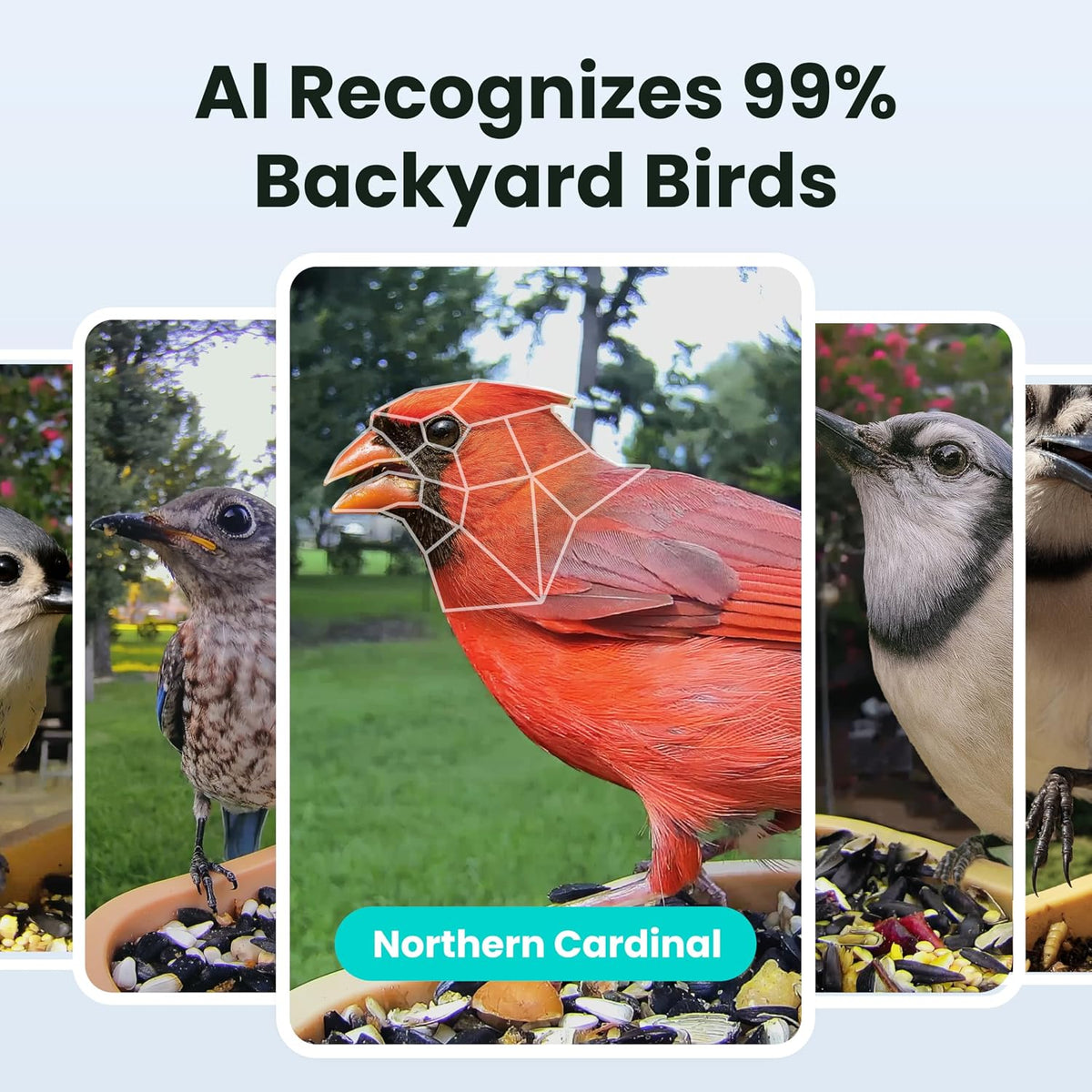 birdfy smart bird feeder with camera for beginners shown in use