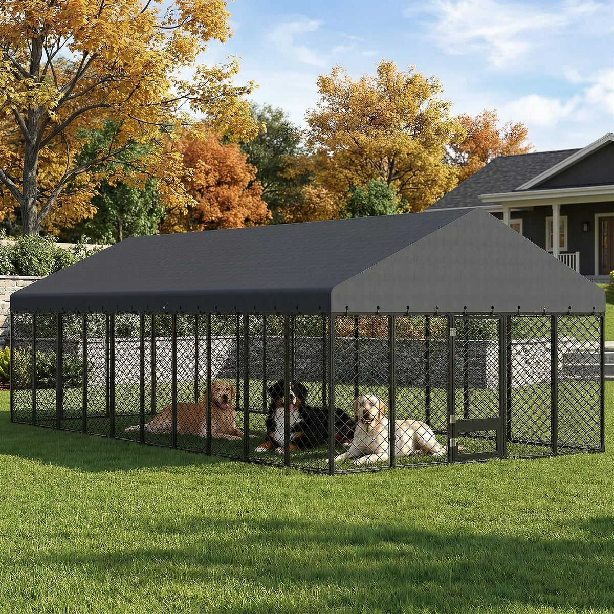 10x20ft outdoor dog kennel with roof and feeding, side view