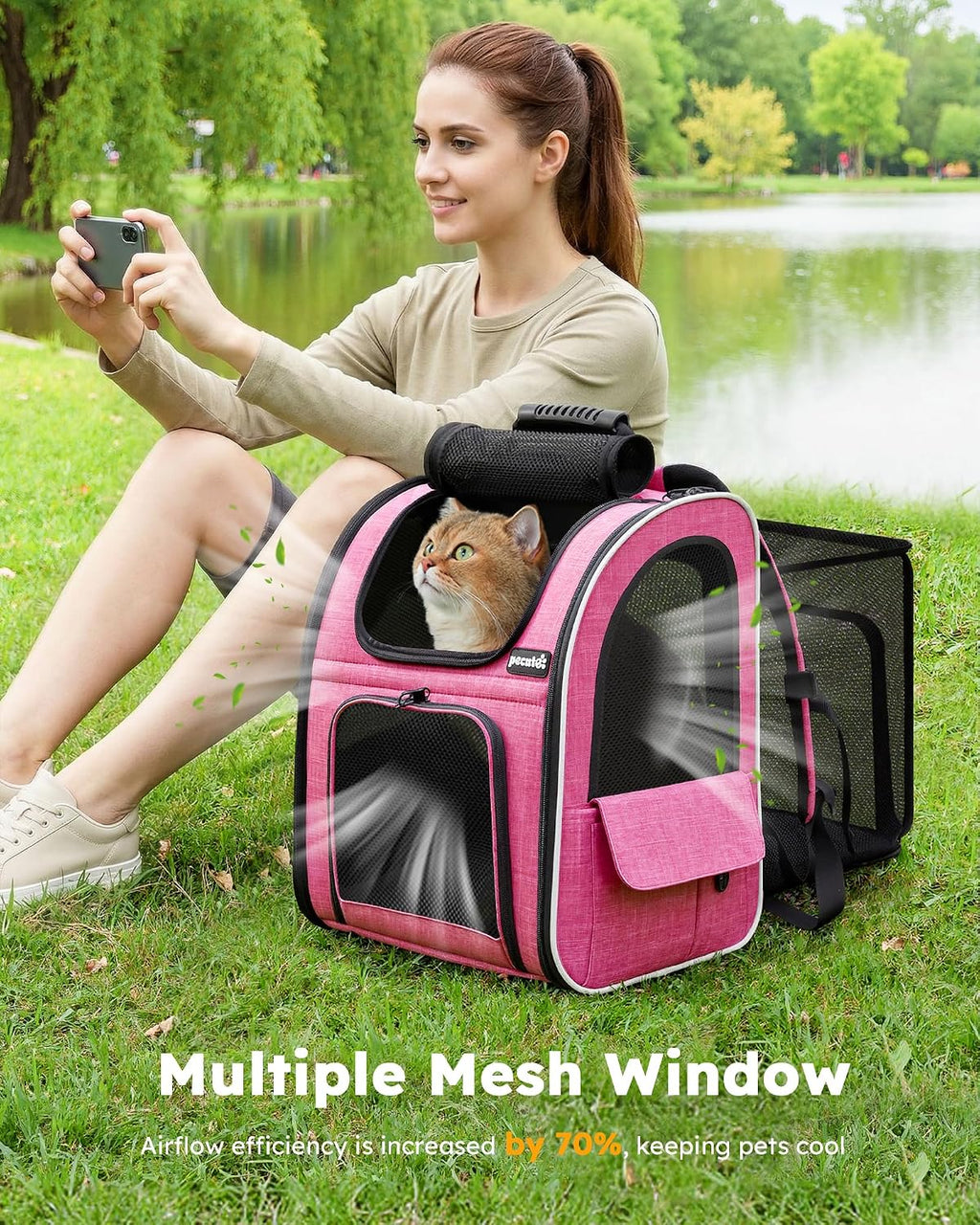 pecute cat backpack extendable, cat carrier backpack with on a desk or shelf