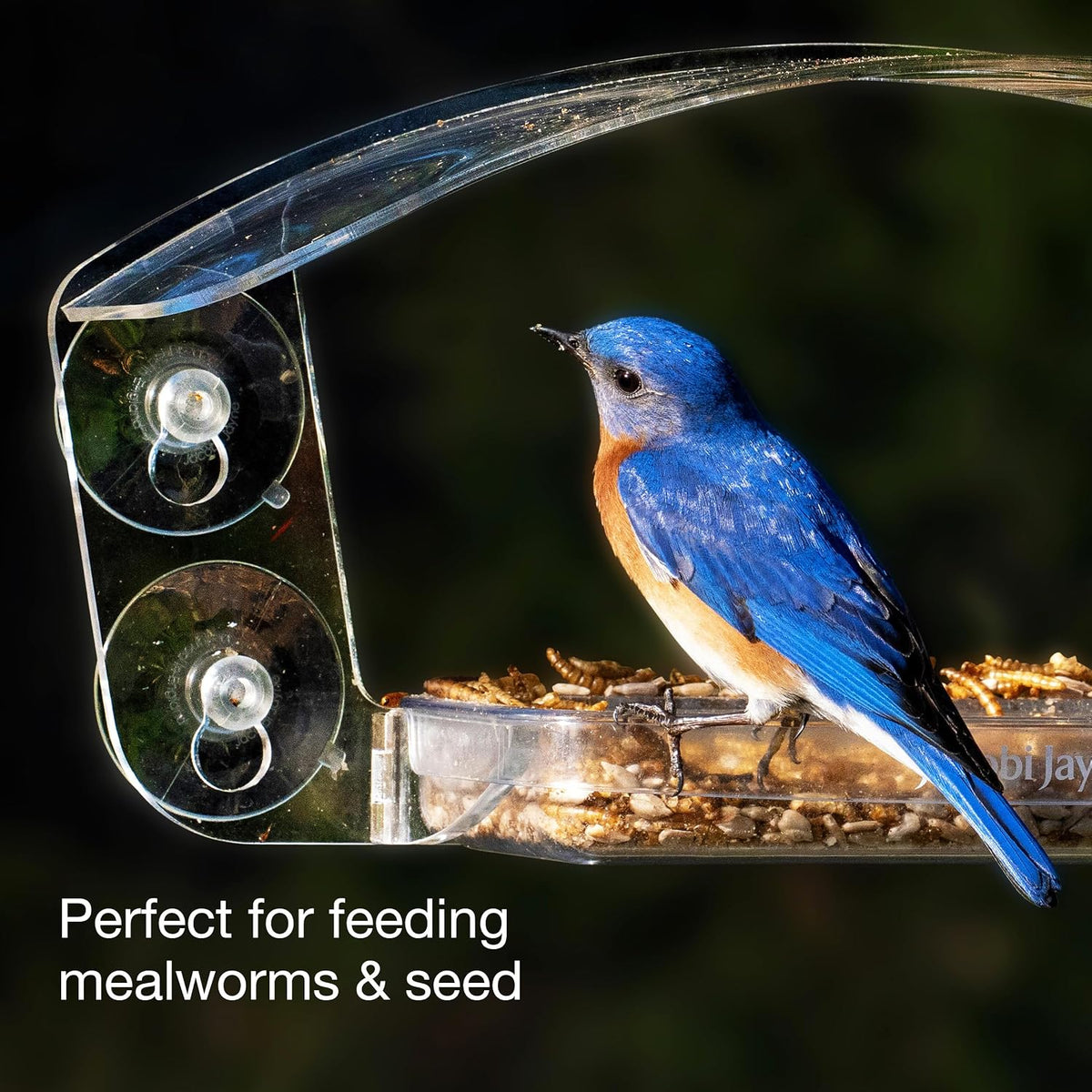 transparent acrylic bird house with sliding tray shown in use