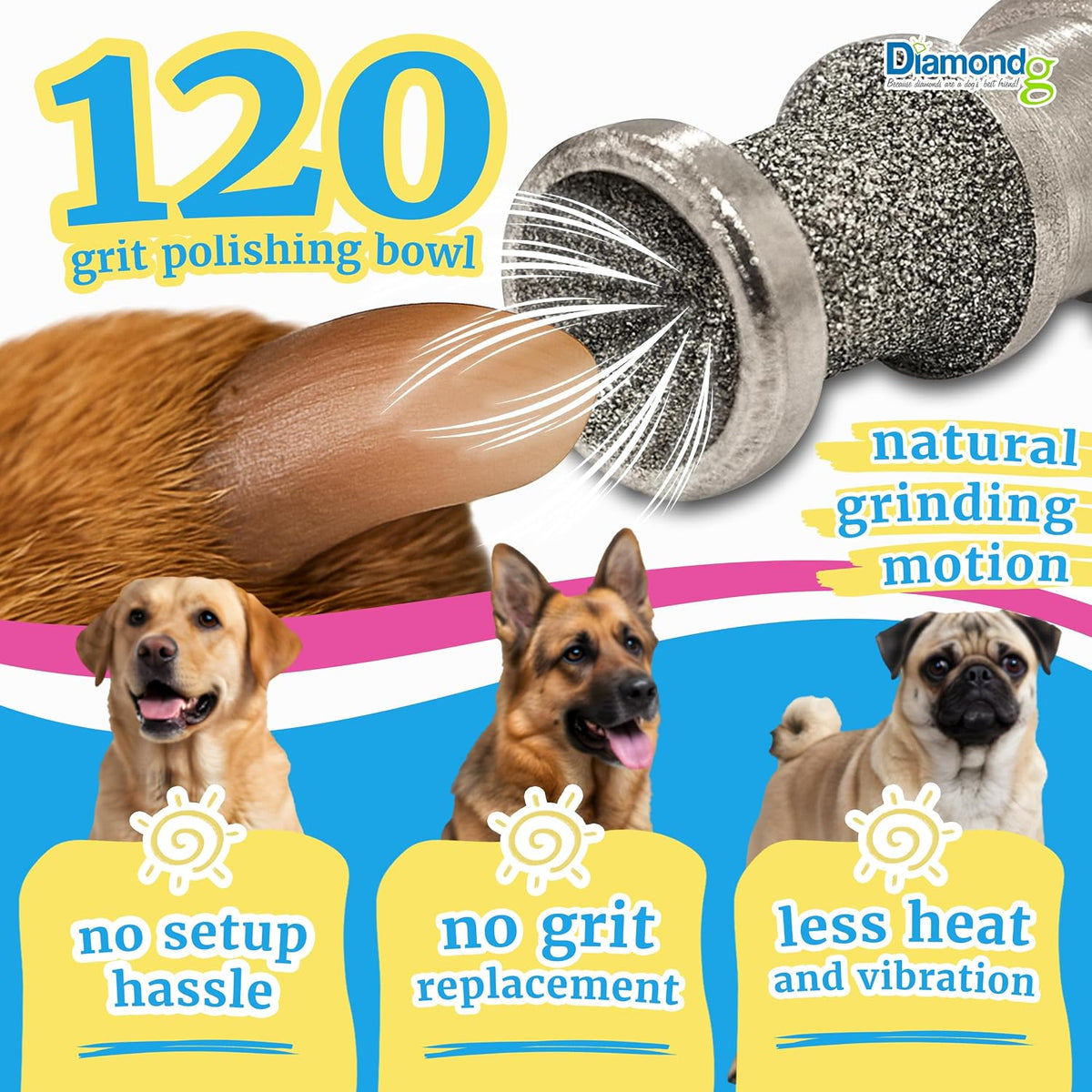 diamondg dog nail grinder bits - diamond-coated, 80, close-up detail