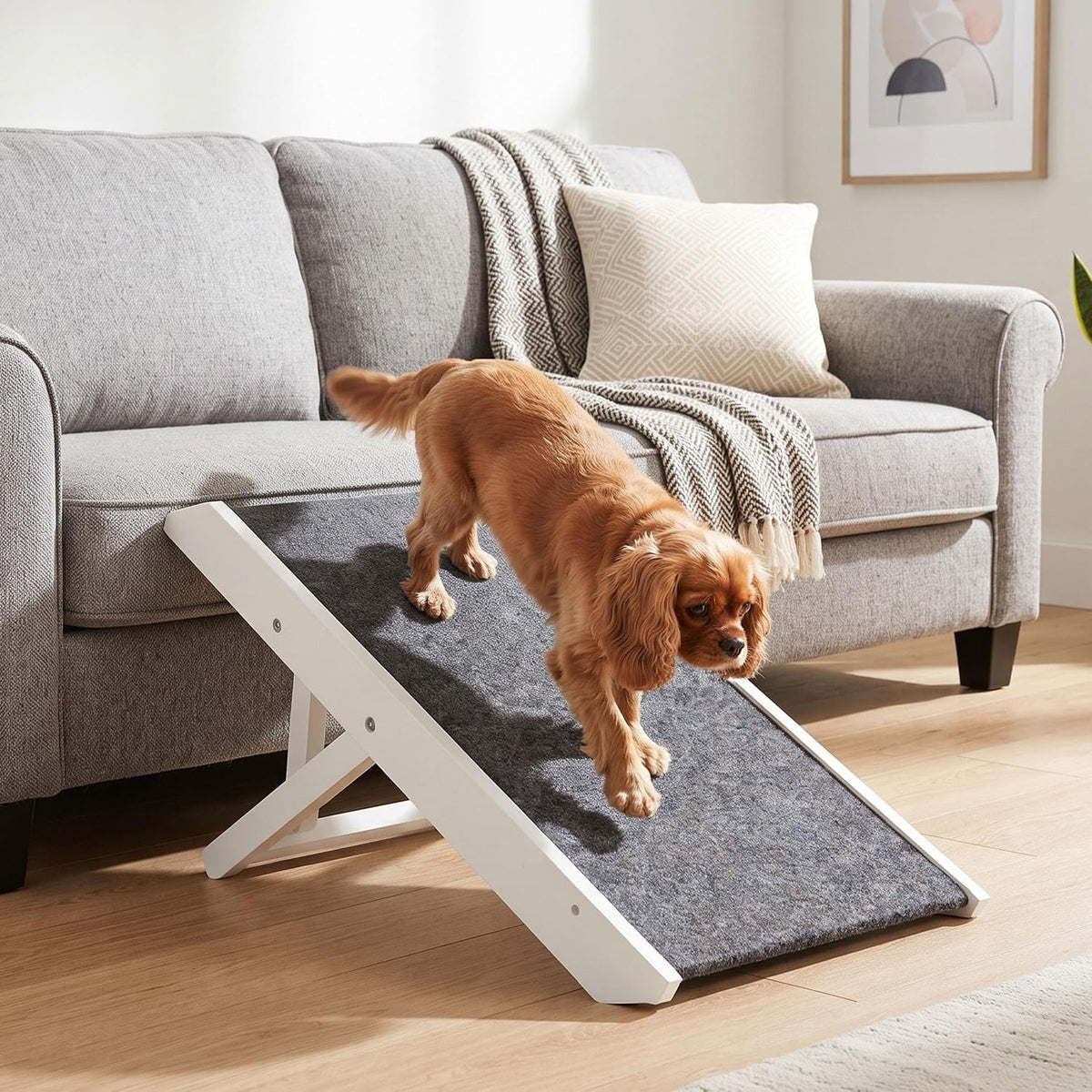 internet's best adjustable pet ramp | decorative wooden shown in use