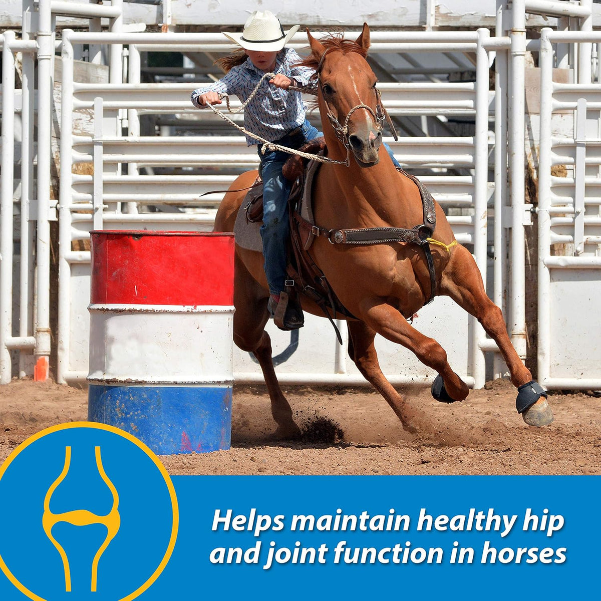 farnam fluidflex liquid joint supplement for horses, glucosamine, close-up detail