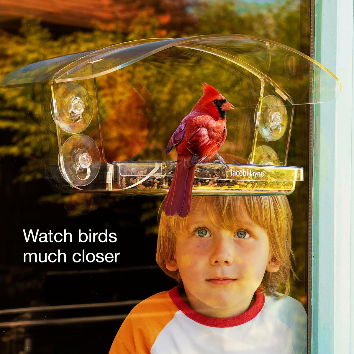 transparent acrylic bird house with sliding tray showing dimensions