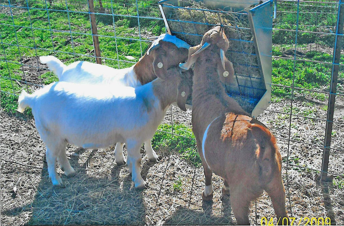 little giant® mountable sheep and goat feeder, close-up detail
