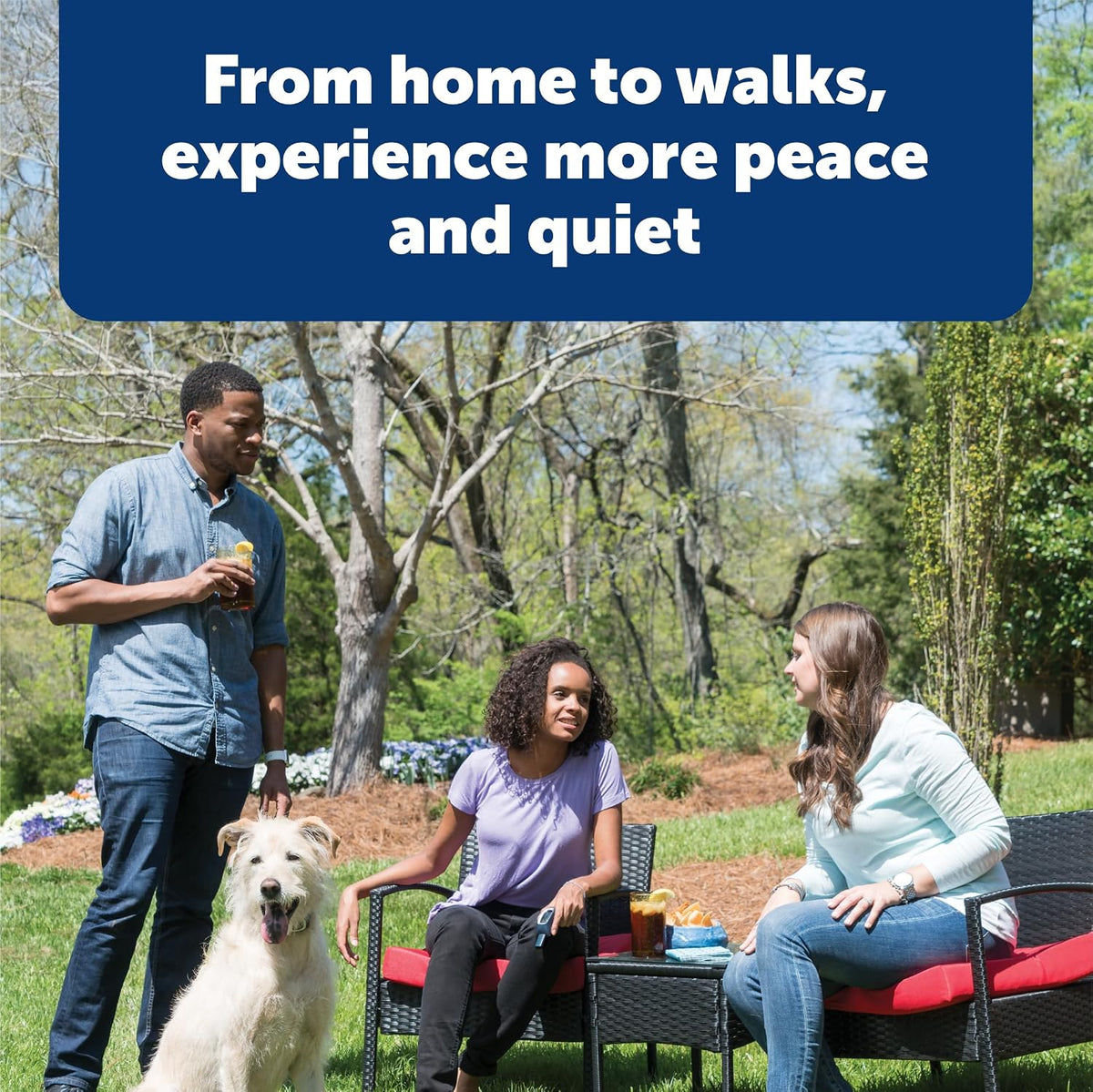 petsafe add-a-dog remote training collar – perfect for showing dimensions