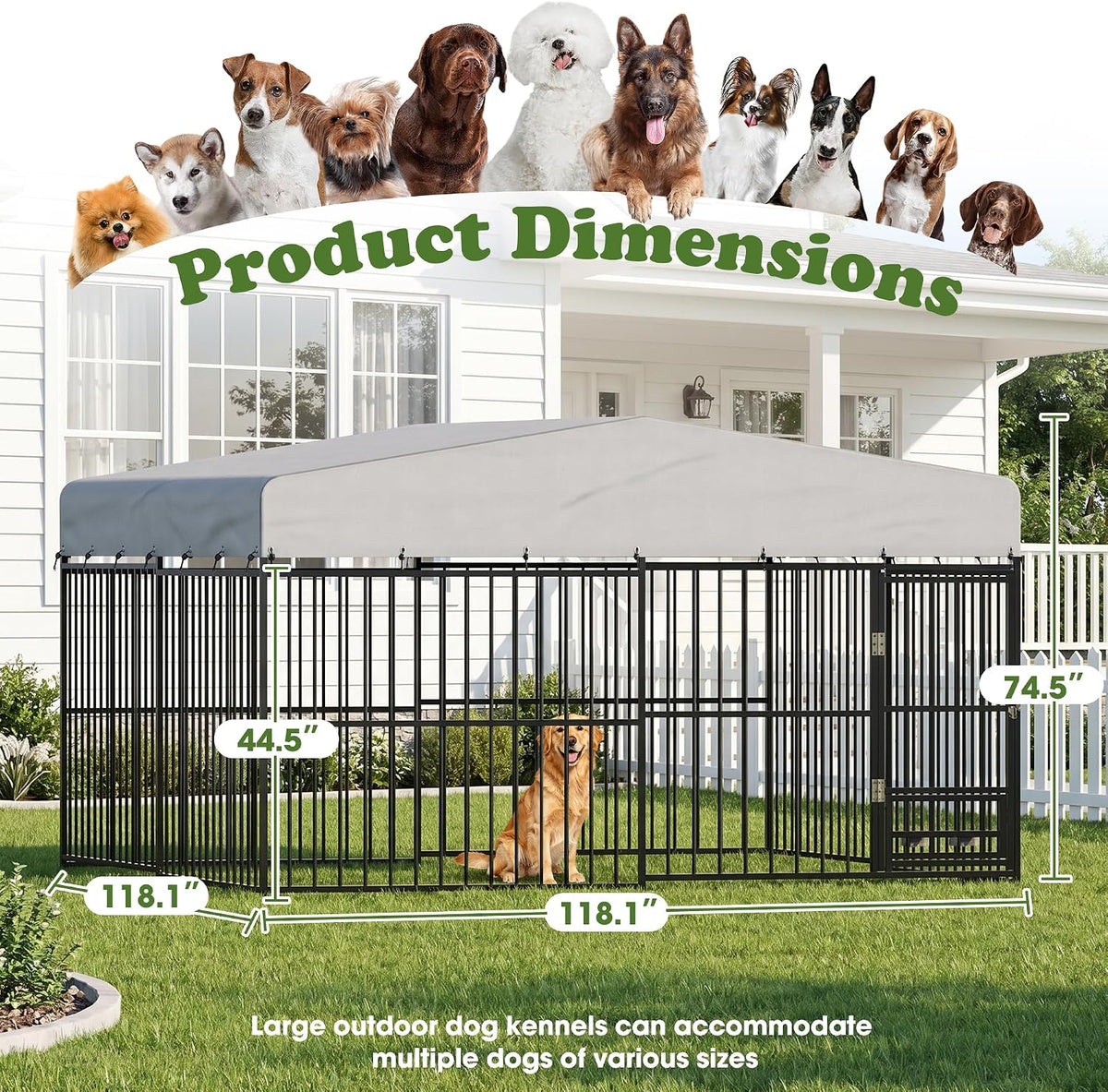 10x10x6 ft dog kennel outdoor for large dogs shown in use