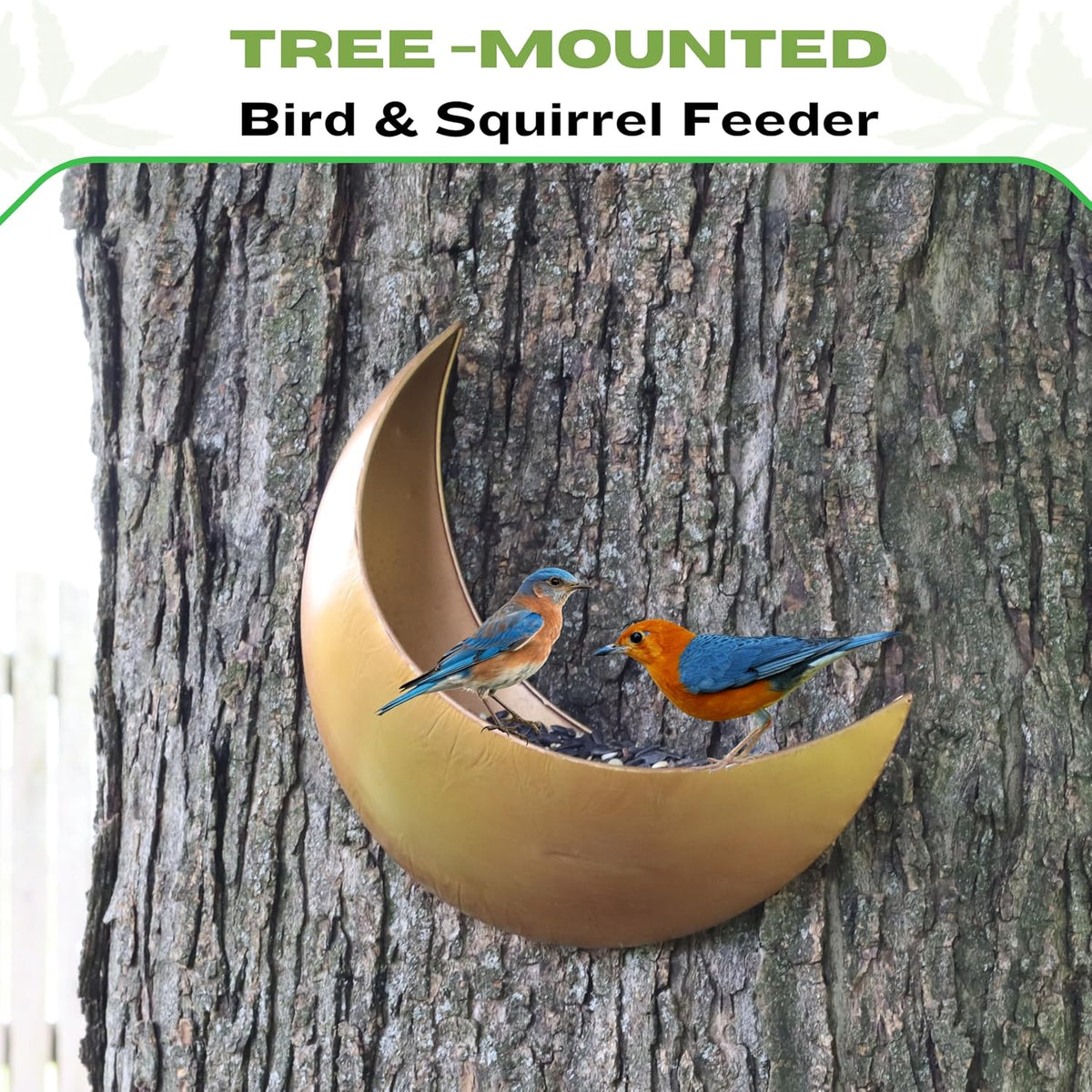 fence & tree mounted moon bird feeder – showing dimensions